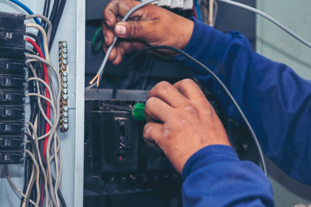 Best Electric Panel Repair  in Druid Hills, GA